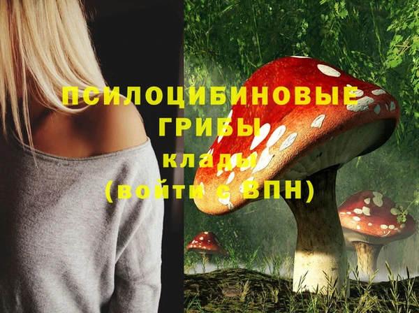 соль курить ск Алексин