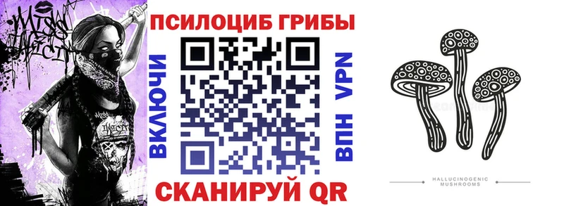 Купить закладки  Кыштым  Псилоцибиновые грибы прущие грибы 